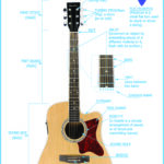 Guitar parts Image